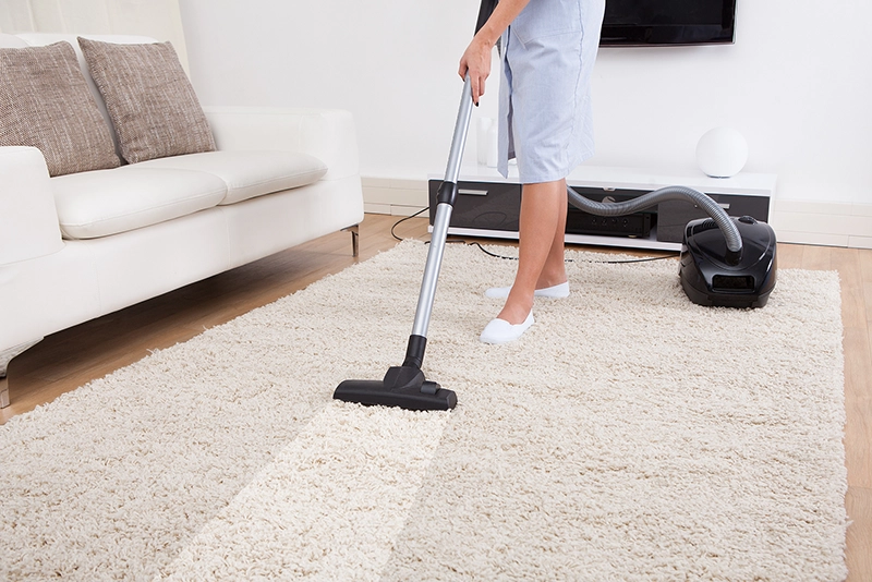 Professional Cleaning